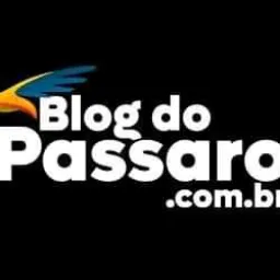 BLOG DO PÁSSARO 2