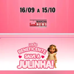 2º Leilão de Coberturas em prol da Julinha - GRUPO 01