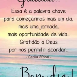 VENDAS FAZENDA ONLINE