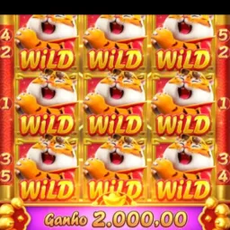 Plataforma 24 horas 🤑🤌🏽