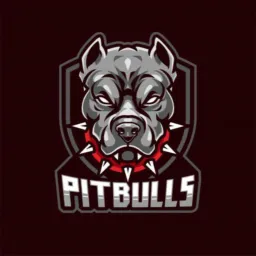 🇧🇷Pitbull de Raça🇮🇪