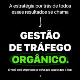 estratégias do pago e do orgânico
