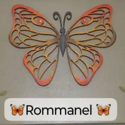 🦋 Brenda vendedora Rommanel🦋