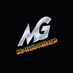 mg-seguidores.com
