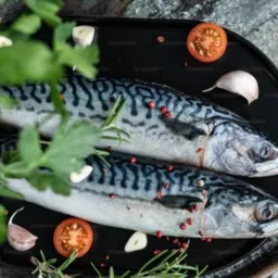 Peixe social Cosmos