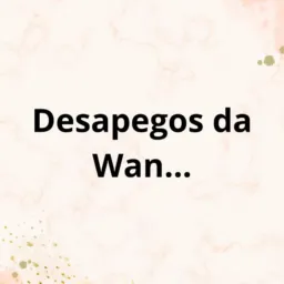 Desapegos da Wan