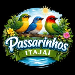 BRICK DE PASSARINHOS ITAJAI E REGIAO