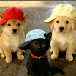 Vai dar namoro ❤️