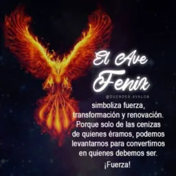 Grupo freelancer bh
