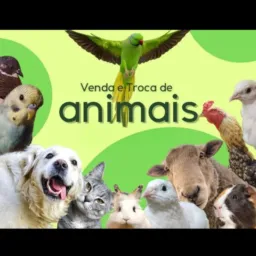 Vendas/Trocas de Animais
