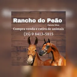 Rancho do peão vendas e catiras