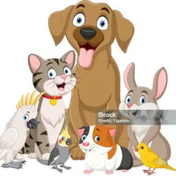 OLX doações Pets
