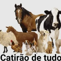 Catirão de tudo 🏎️🦽🩼🐎🐄🐕