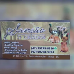 AÇÃO ENTRE AMIGOS SANSÃO - O CRIADOR 🐑🐰🐔🐷🐹🐭🐣🐥🪿🦆🐴