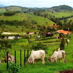 Compra e venda somente chacarras Casas e Carros Terrenos e Motos(ALTA FLORESTA)