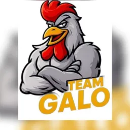 TEAM GALO TESTE