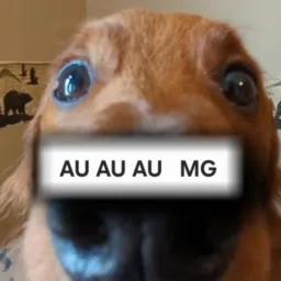 Latidos de MG