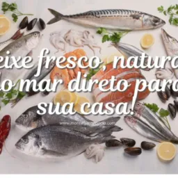 Vende-se peixe 🐟🐠