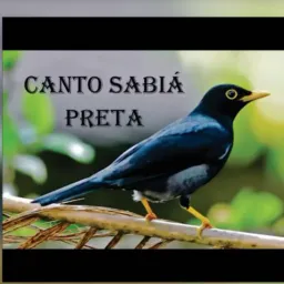 Jardim Sabiás 🌿