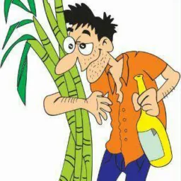 Os👣pes de cana 🎋🎋