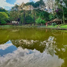 Divulgações Juiz de Fora