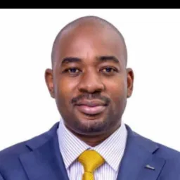 CHAMISA VS MNANGAGWA GROUP