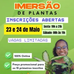 #001 PRODUÇÃO DE MUDAS