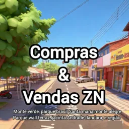 VENDAS ZONA NORTE STM E REGIÃO