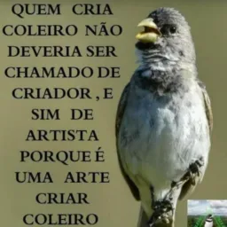 🦅RECREIO💦MAGARÇA💦ROLO🦅RJ🦅