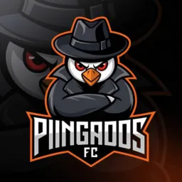 Seletiva Piingados FC