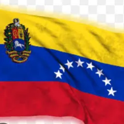 🇻🇪🇧🇷💚VENEZOLANOS EN TODO BRASIL❤️🇧🇷🇻🇪