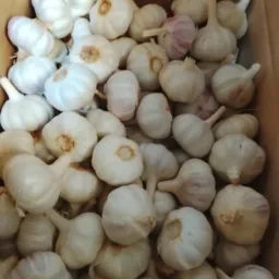 Pago na hora