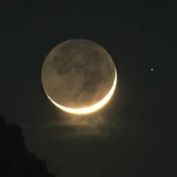 Moon disclo 🌙