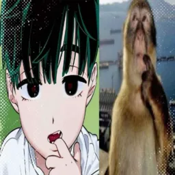Cerrado