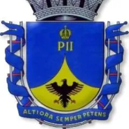 Notícias e Bate Papo PetCity