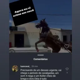 ROBA CENA RABETA 💥🐎
