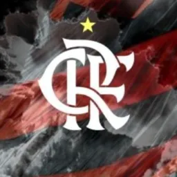FLANATICOS FLAMENGO