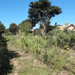 Compra e venda de terreno