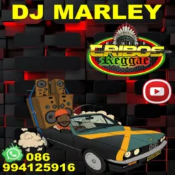 🔊🎶🇯🇲EQUIPE TRIBOS REGGAE🔊🎶🇯🇲