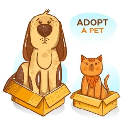 Doação e adoção de animais - Barbacena e região