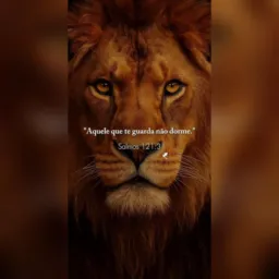 🙏🏼Motivação Diária🙌🏼!!