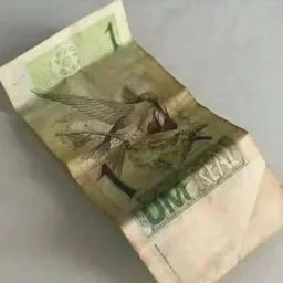 So figurinhas