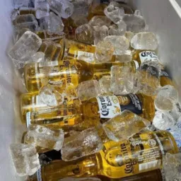 CANTINA MIX MUSICA VARIADA