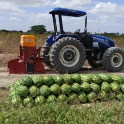 AGRO INDÍGENA NORMANDIA