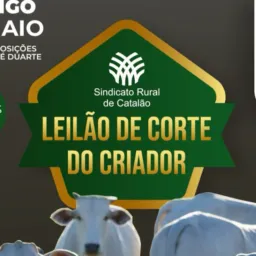 Leilão Sind.Rural Catalão