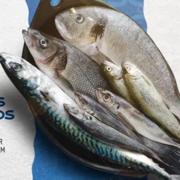 Projeto do peixe da comunidade 18