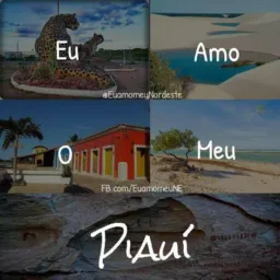 Mercado Livre Piauí🏡🚗🏍️🚲🚜🚚✈️🚀🛥️🚤🛶👜👒👟👠🎤🪗🎸🎷🦼