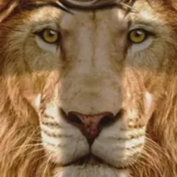 Disse lhe jesus eu sou caminho e a verdade e a vida ninguém vem ao Pai se não por mim