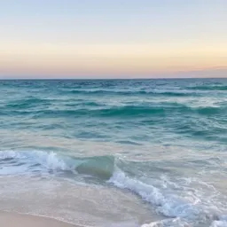 Divulgação 🥥🌴
