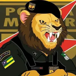 🇧🇷🕵🏽🕵🏽MUNDO DA NOTÍCIA 🚔🚔🇧🇷